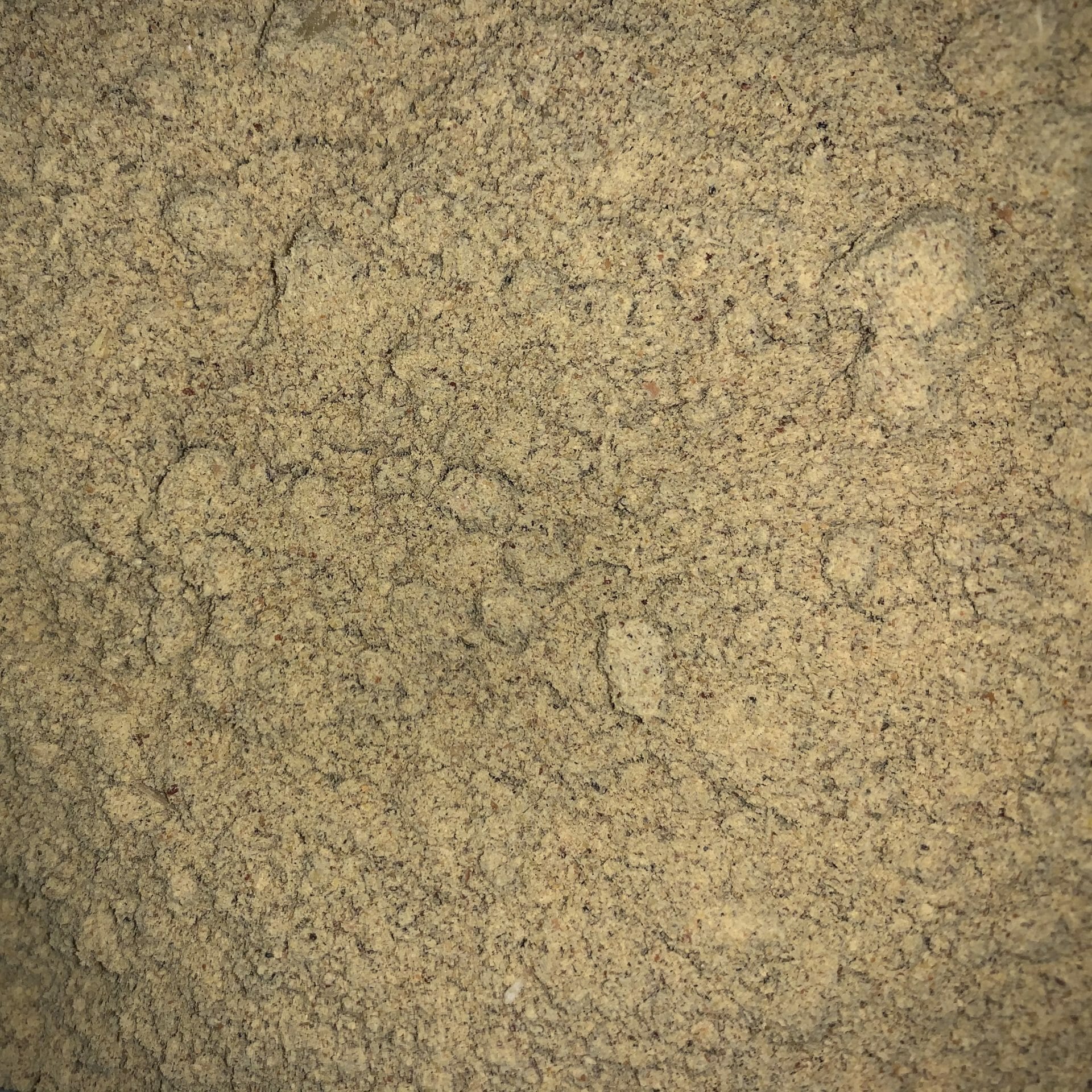 Avian Health Shake made by Springwater Avian Health