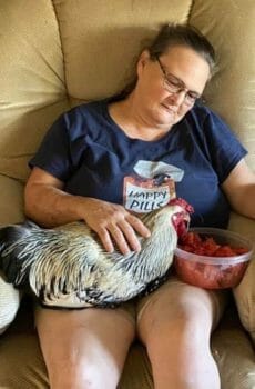 Donations for Cathy Murphy's birds - Avian Health Shake
