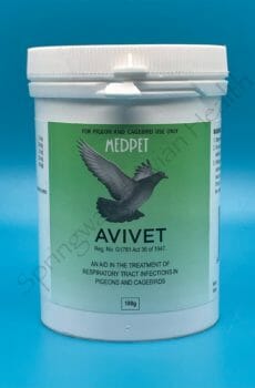 Avivet