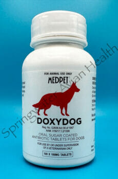 Bottle of Doxydog 100mg tablets.