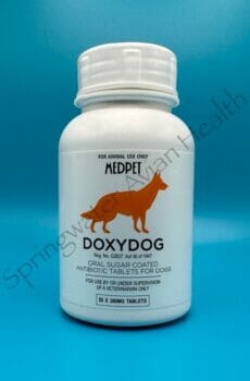 Doxydog 300mg front of bottle