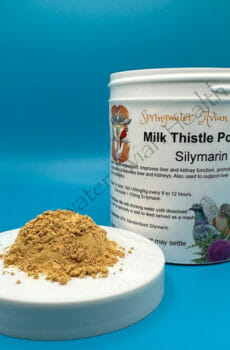 Milk Thistle Jar with powder displayed